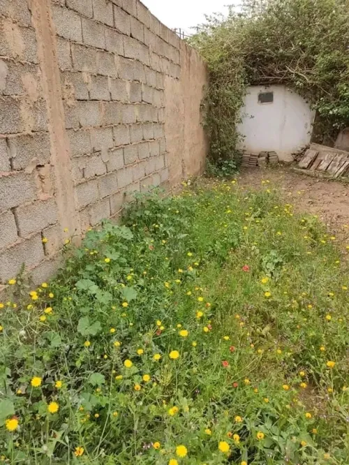 Vente Terrain Mostaganem Sirat
