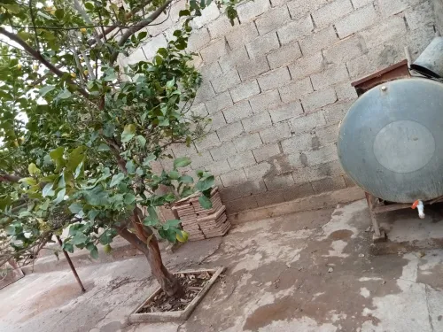 Vente Villa Tlemcen Ain tallout