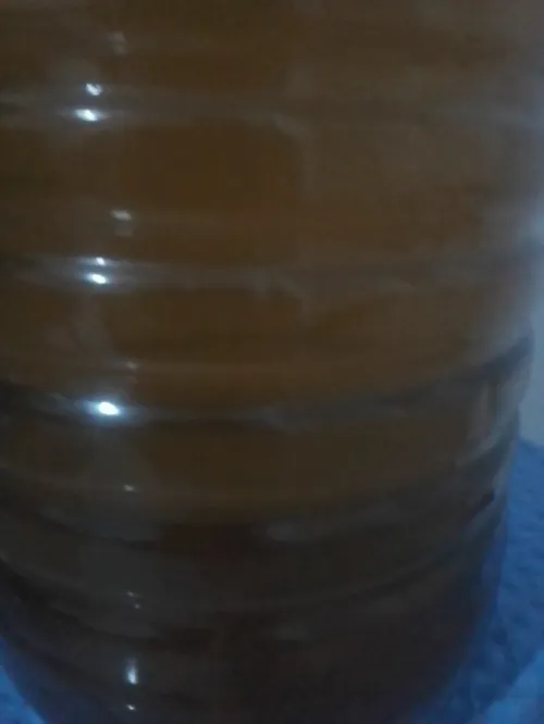 زيت الزيتون حرة