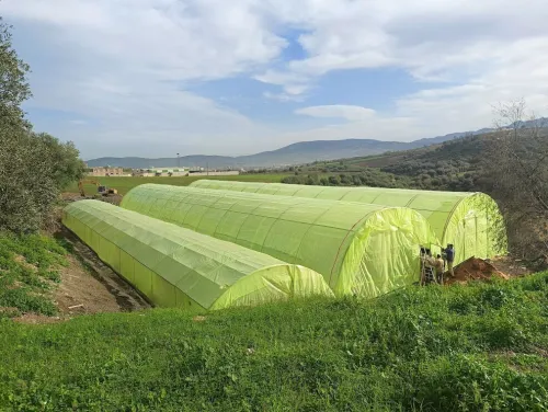 Fourniture Installation & Réparation de Serres Tunnel توفير، تركيب وتصليح بيوت بلاستيكية فلاحية