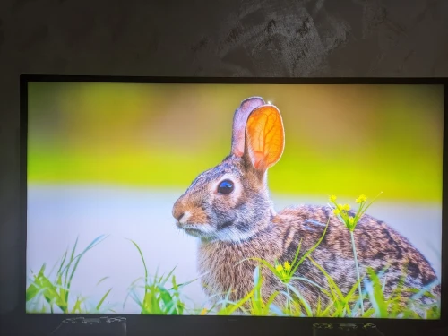 TV Philips
