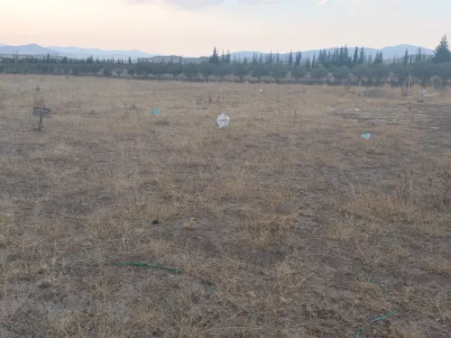 Location Terrain Batna Tazoult