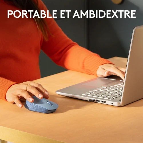 Logitech M171 Wireless Mouse (Bleu Gris) Souris sans fil - ambidextre - capteur optique - 3 boutons