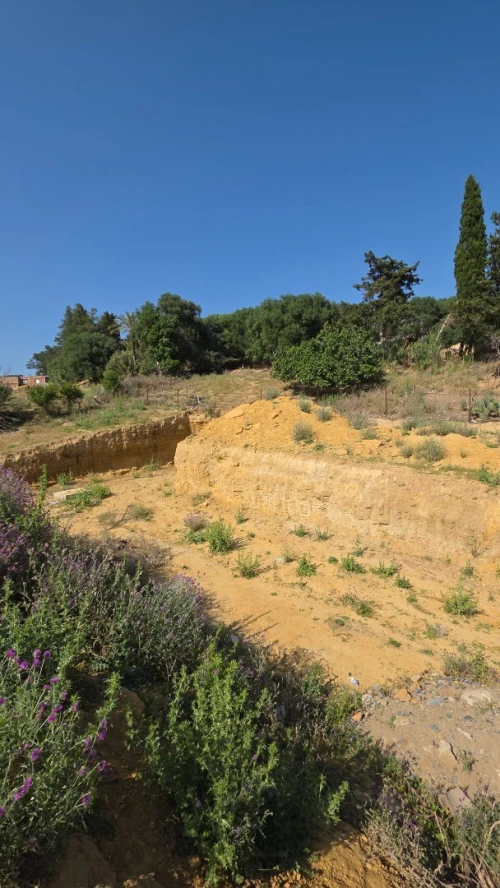 Vente Terrain Alger Mahelma