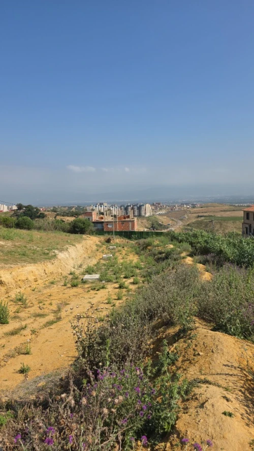 Vente Terrain Alger Mahelma