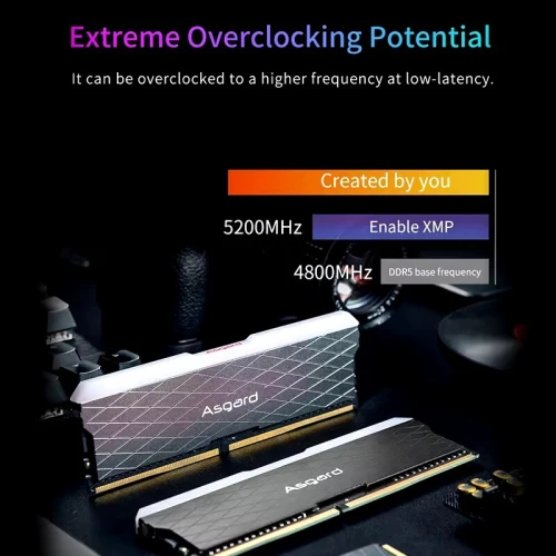 asgard ddr5 et cusu ddr4