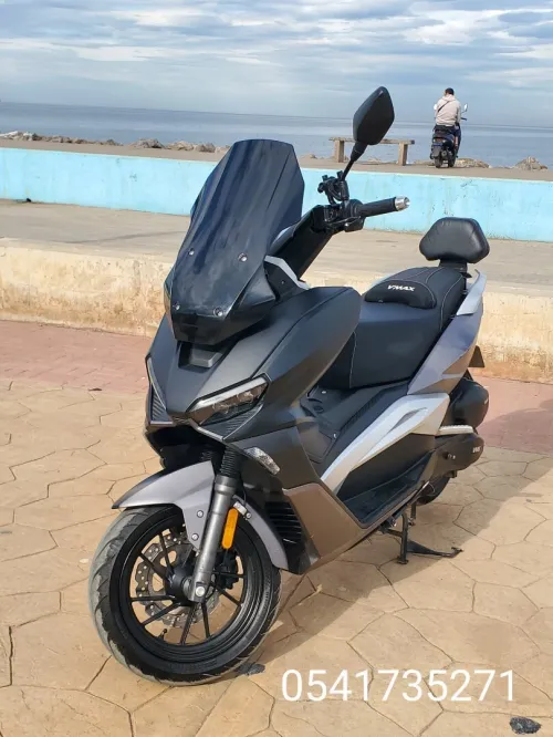 Vms V max 2025