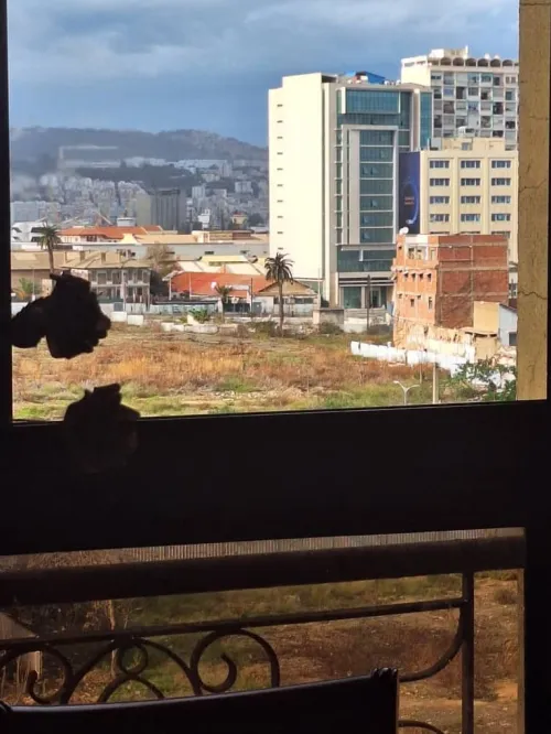 Vente Appartement F5 Alger Hussein dey
