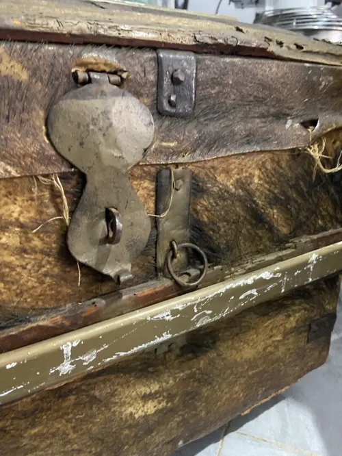 Malle de voyage bombée (souvent appelée "malle dôme" ou "malle de calèche")