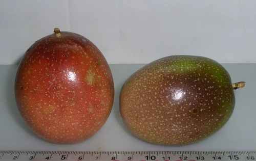 Fruit de la passion