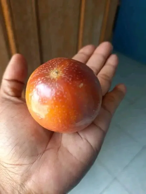Fruit de la passion