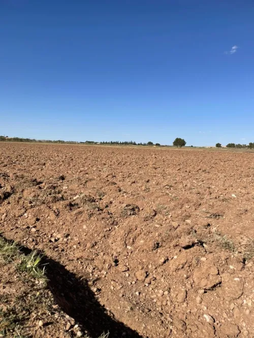 Vente Terrain Agricole Djelfa Djelfa