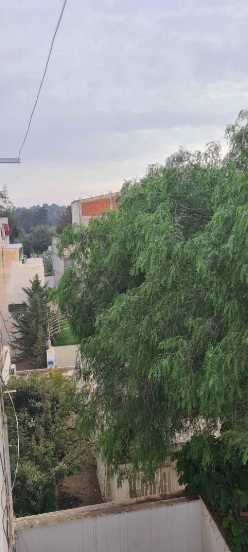 Location Appartement F2 Alger Birkhadem