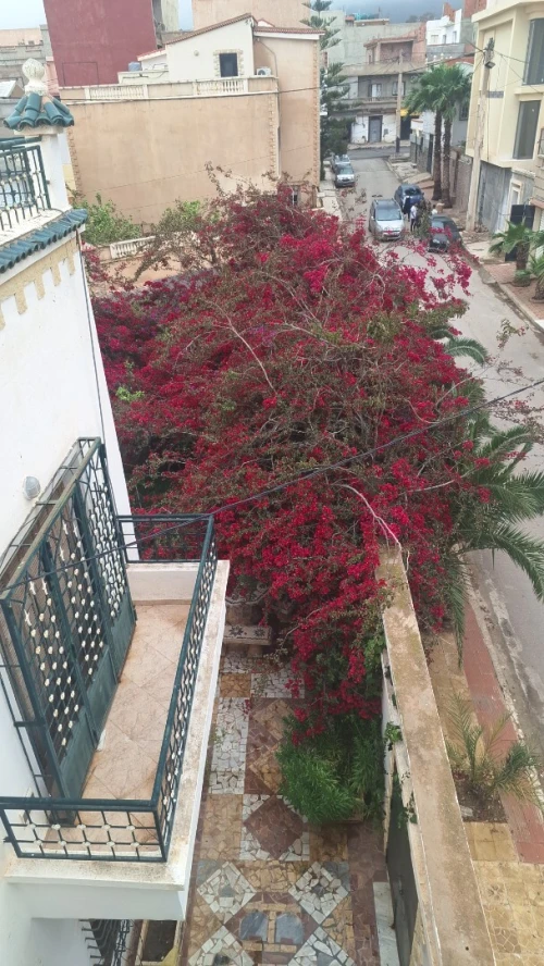 Vente Villa Oran Ain el turck