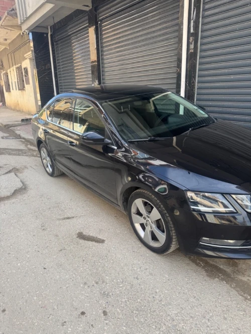 Skoda Octavia 2018 Elegance DGS