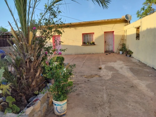 Vente Terrain Agricole Tlemcen Tlemcen
