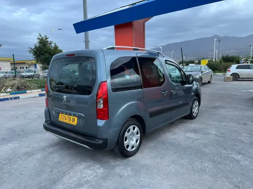 Peugeot Partner 2010 Tepee