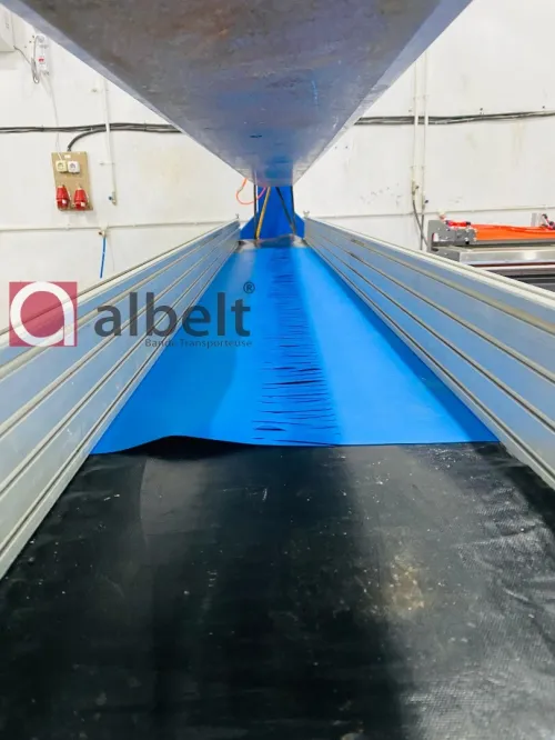 Tapis Courbe en PU bleu  Biscuiterie