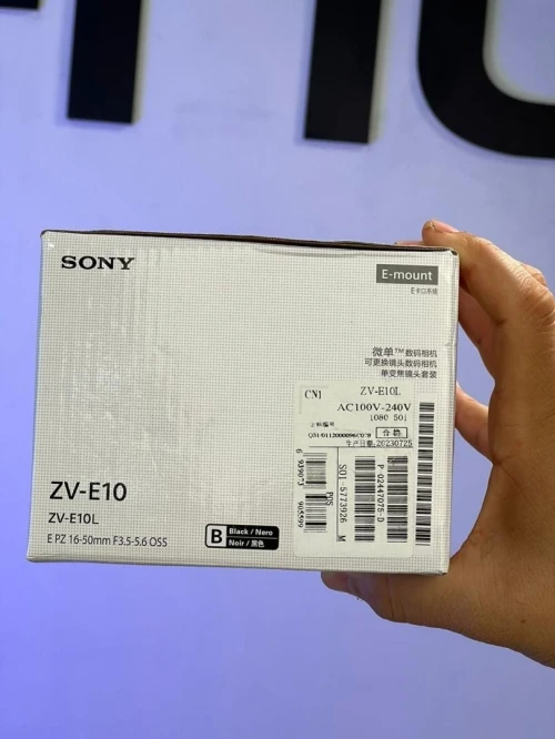 Caméra Mirrorless SONY ALPHA ZV-E10