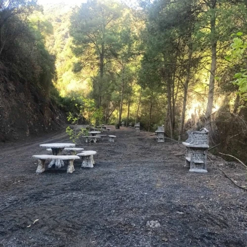 Vente Terrain Blida Hammam melouane