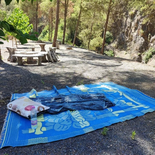 Vente Terrain Blida Hammam melouane