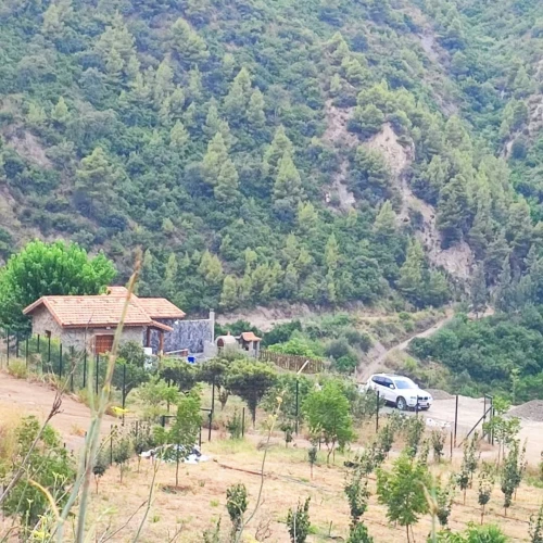 Vente Terrain Blida Hammam melouane