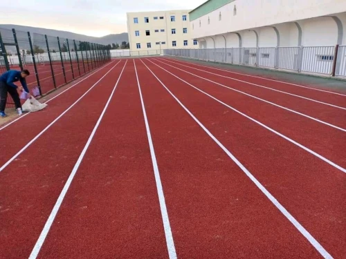 REVETEMENT SALLES SOL SPORTIF SOUPLE ,Gomme , Acrylique