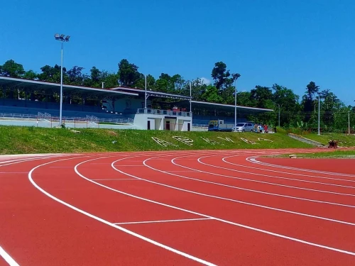 REVETEMENT SOLS SPORTIF