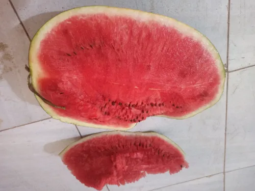 Vente de tous types de filtres بيع حميع أنواع الفلاتر 