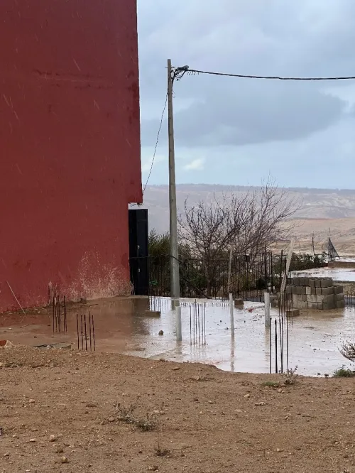 Vente Terrain Tlemcen Msirda fouaga