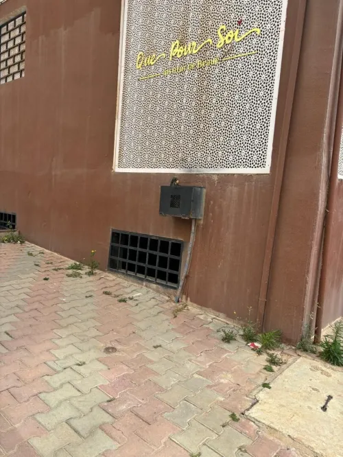 Location Local Alger Draria