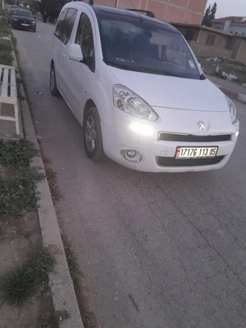 Peugeot Partner 2013 Tepee