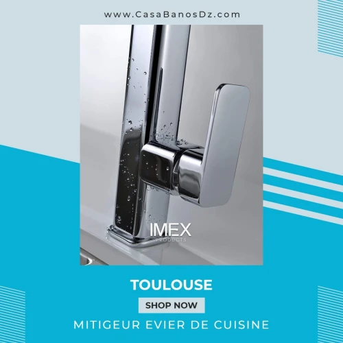 Mitigeur Evier TOULOUSE IMEX