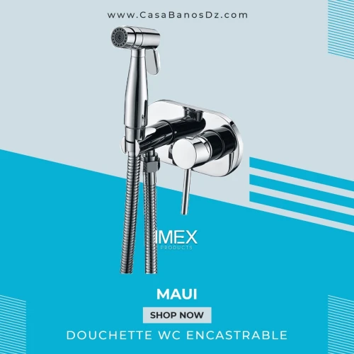 Mitigeur Douchette WC À Encastrer MAUI IMEX