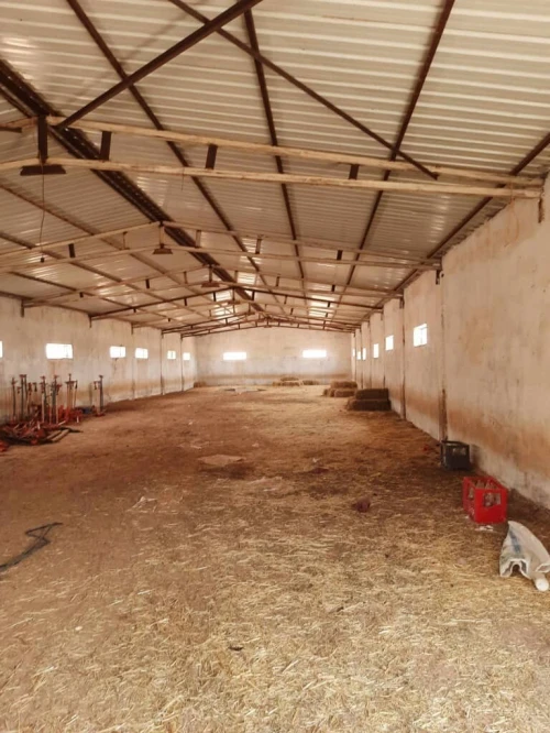 Vente Terrain Agricole Djelfa Tadmit