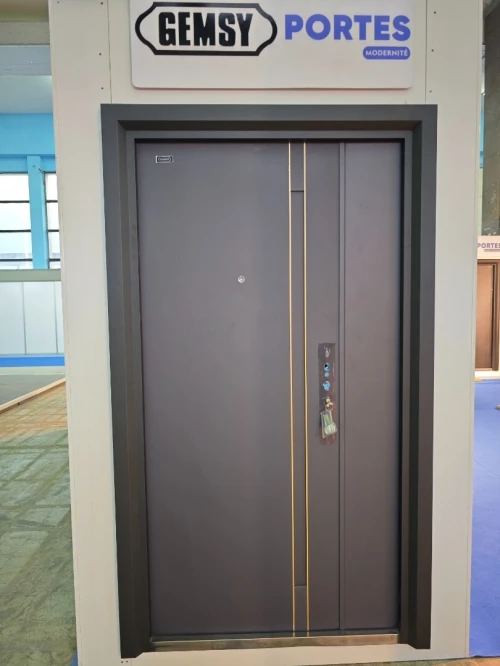 Porte metallique lourde, Porte d'entree, porte logment