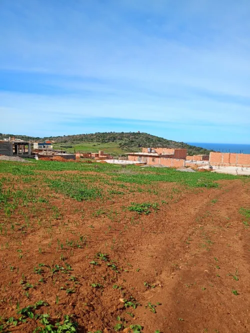 Vente Terrain Tlemcen Honaine