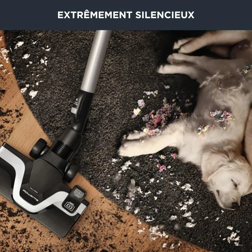 Aspirateur Rowenta 5 étoile 