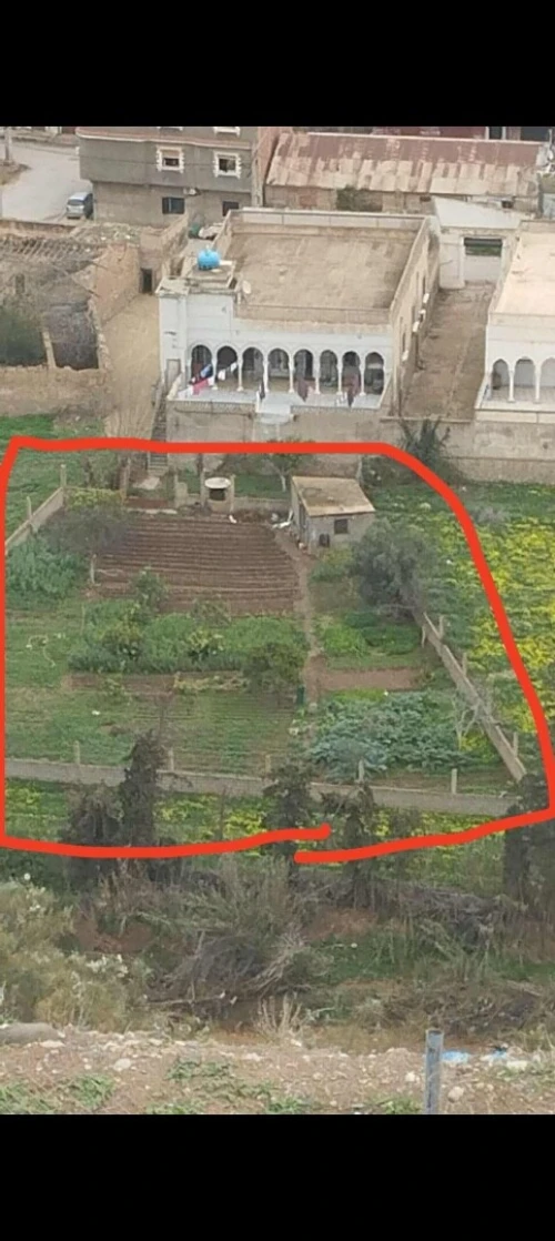 Vente Terrain Tlemcen Ghazaouet