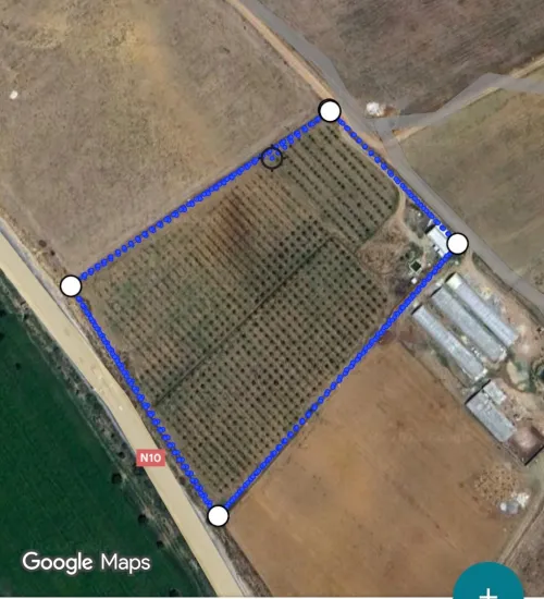 Vente Terrain Agricole Tébessa Tebessa