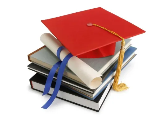 Mémoires de fin d'étude et rapports de stage