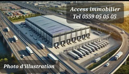Location Hangar Alger Dar el beida