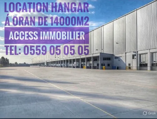 Location Hangar Oran Oran