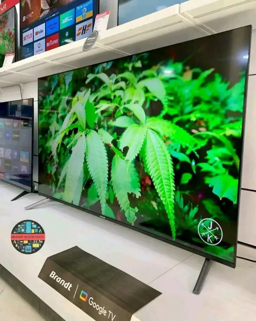 Télévisions TV brandt 65 pouce smart Qled