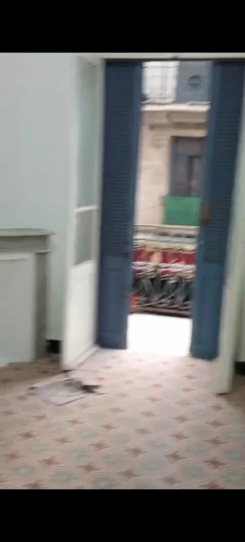 Location Appartement F3 Alger Bab el oued