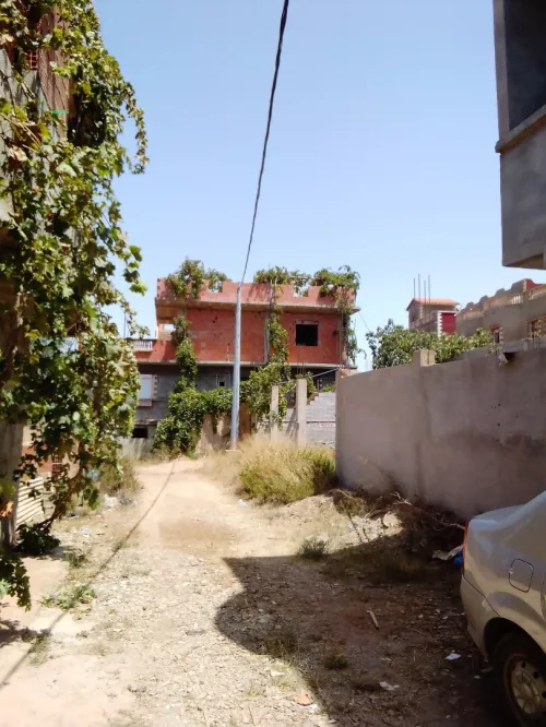 Vente Terrain Aïn Témouchent Tadmaya