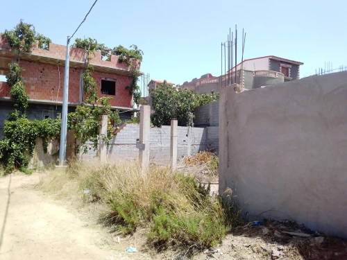 Vente Terrain Aïn Témouchent Tadmaya
