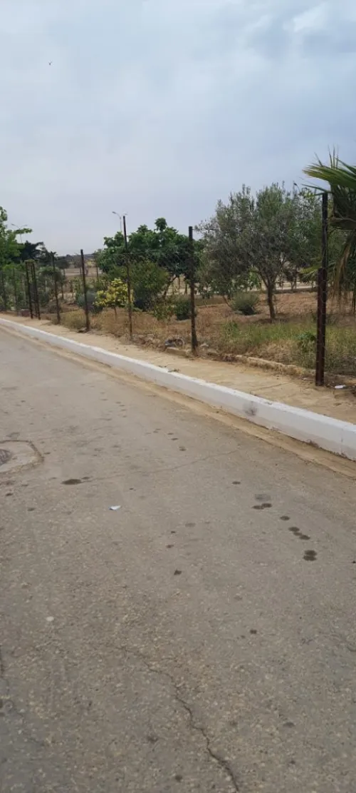 Vente Villa Mostaganem Stidia