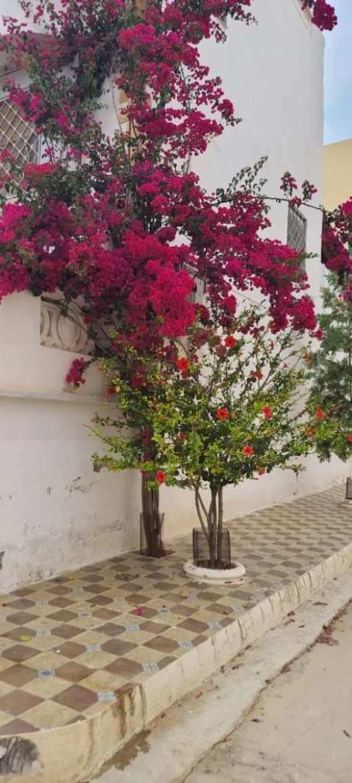 Vente Villa Mostaganem Stidia