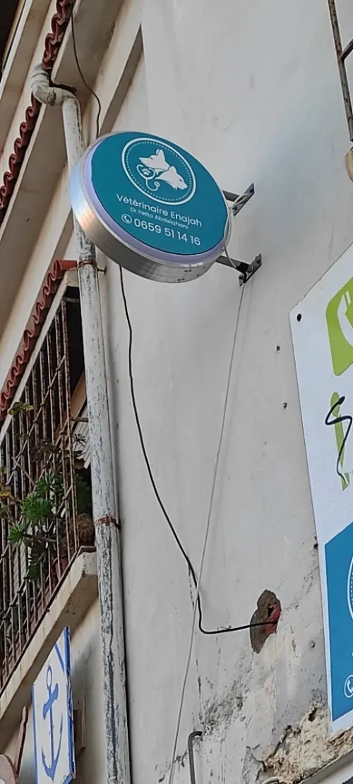 Totems Publicitaires, Signalétique Extérieure et Habillage Vitrine